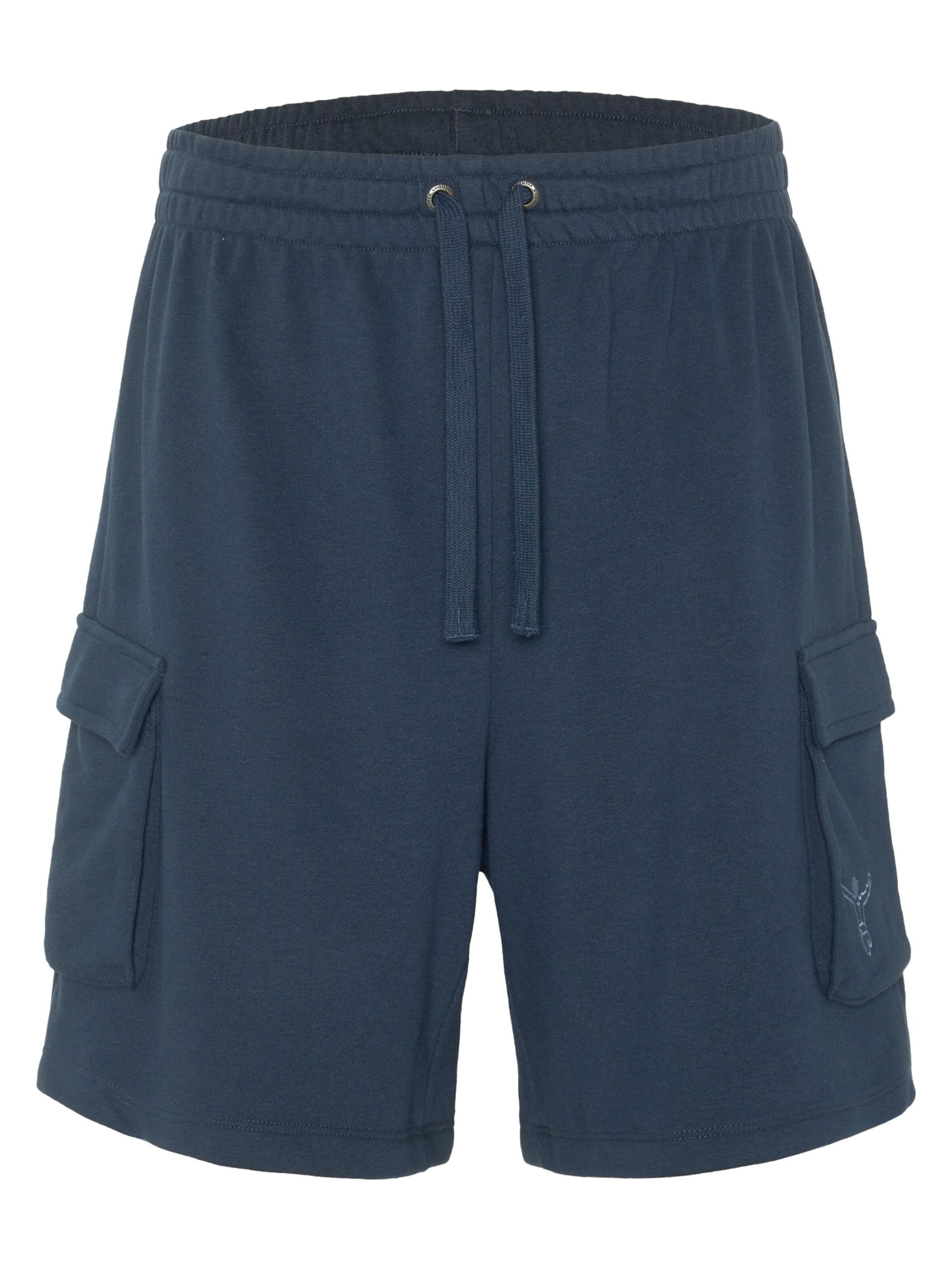 CHIEMSEE Regular Pants in Blue: front