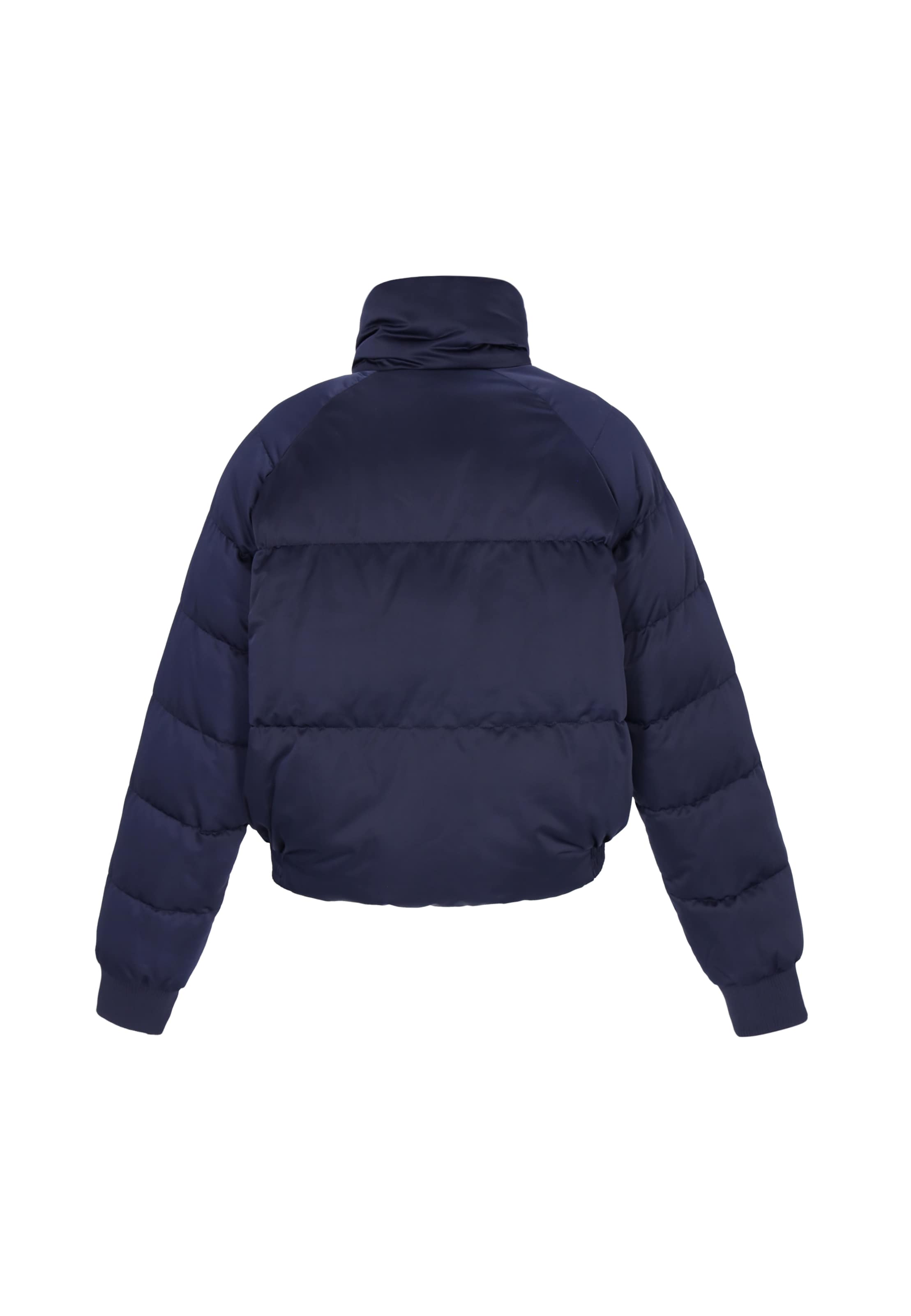 ALBEE Winterjas in Blauw