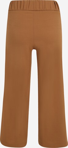 regular Pantaloni con pieghe 'GEGGO' di JDY Petite in marrone