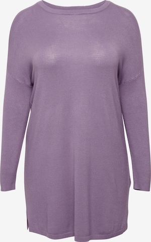 Robes en maille 'Blume' Fransa Curve en violet : devant