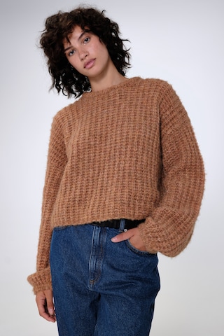 Aligne Sweater 'Guan' in Brown