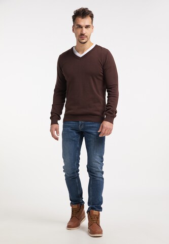 RAIDO Pullover in Braun