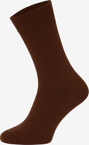 HomeOfSocks Socks 'HOS72' in Brown: front