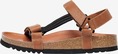 SCHOLL Sandale in cognac, Produktansicht