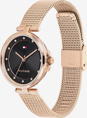 TOMMY HILFIGER Uhr in Gold