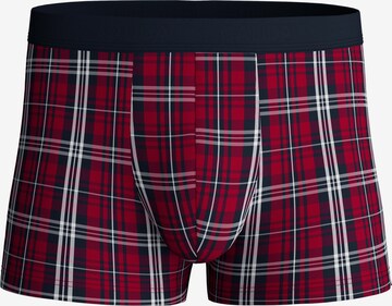 CALIDA Boxershorts 'Family & Friends' in Rot: Vorderseite