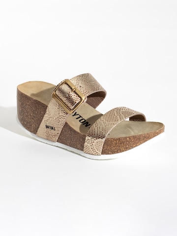 Bayton Mules 'Newcastle' in Gold