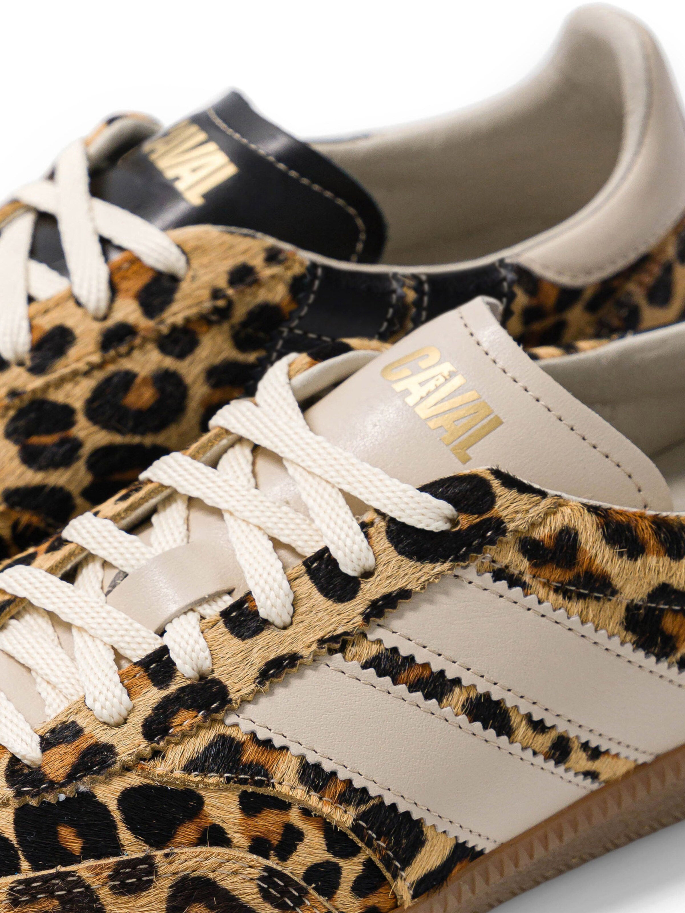 Caval Sneakers ' PULSE ' in Brown