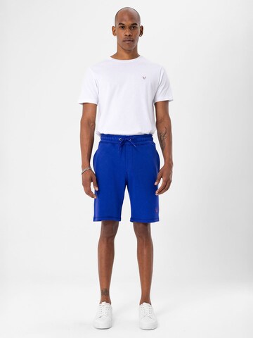 By Diess Collection Regular Broek in Blauw