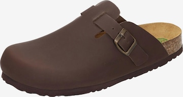 DR. BRINKMANN Clogs 'Nerpio' in Braun: Vorderseite