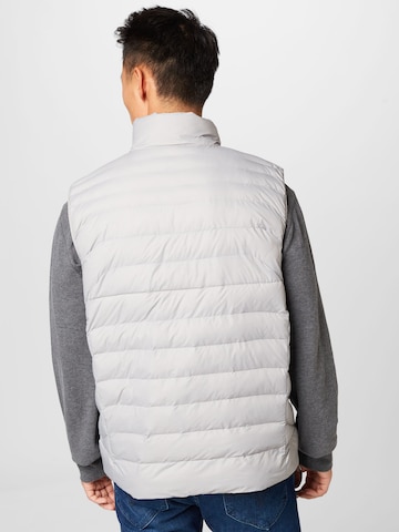 Regular fit Gilet 'TERRA' di Polo Ralph Lauren in grigio