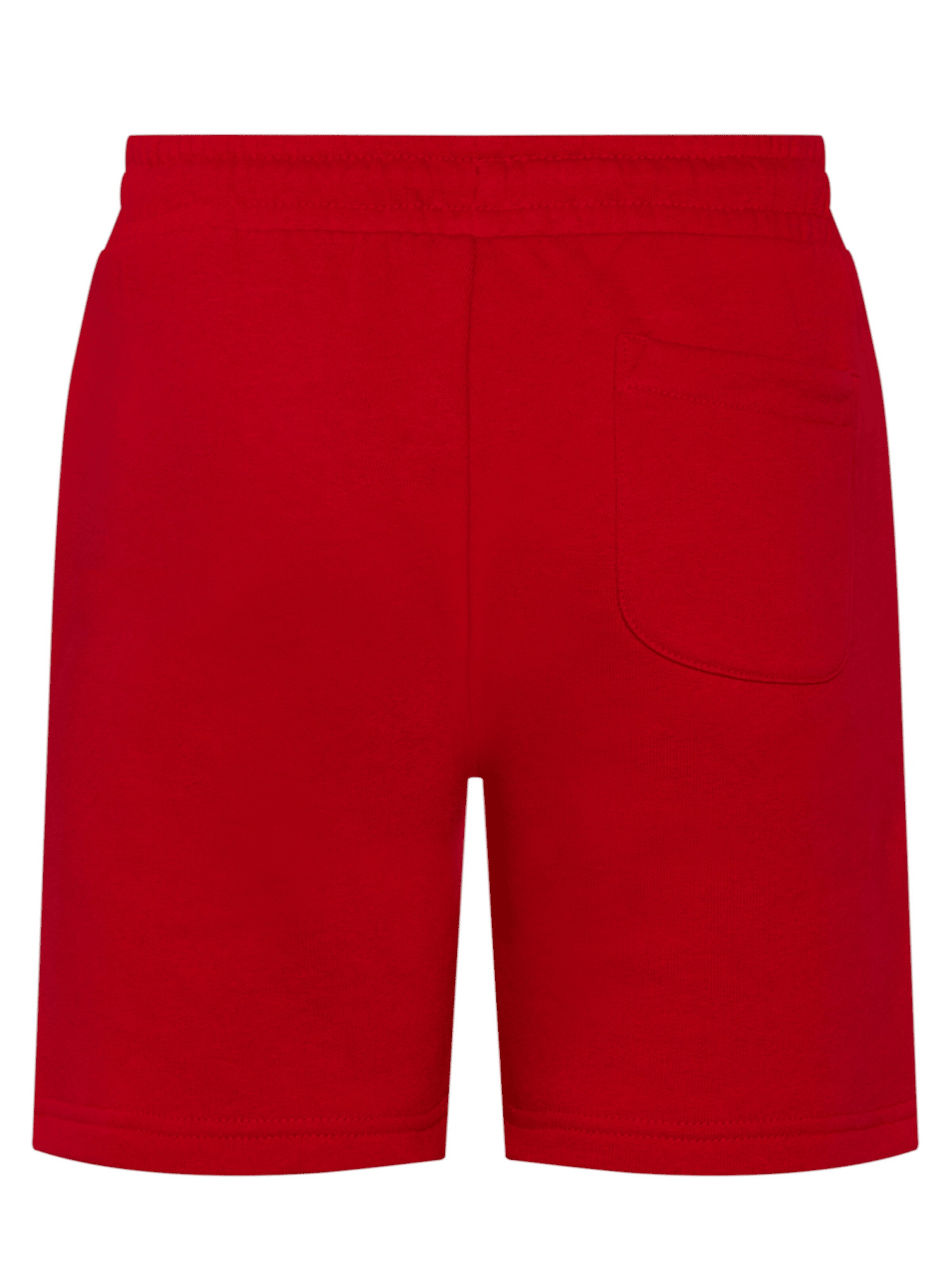 FC BAYERN MÜNCHEN Regular Shorts 'Essential' in Rot