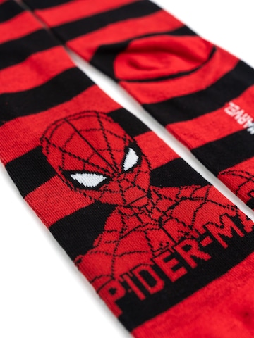 SPIDERMAN Socks in Mixed colours
