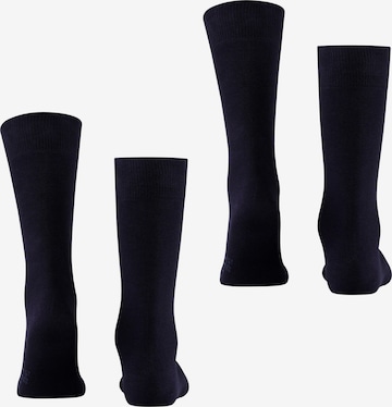 FALKE Socks 'Swing 2-Pack' in Blue: front