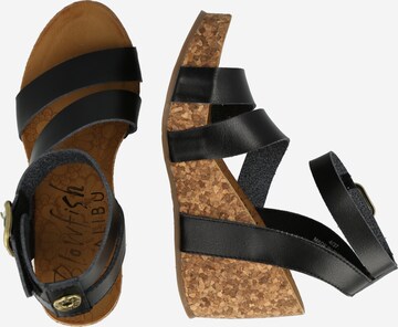 Blowfish Malibu Strap Sandals 'HECTA' in Black