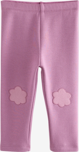 Tamprės iš Next, spalva – purpurinė, Prekių apžvalga