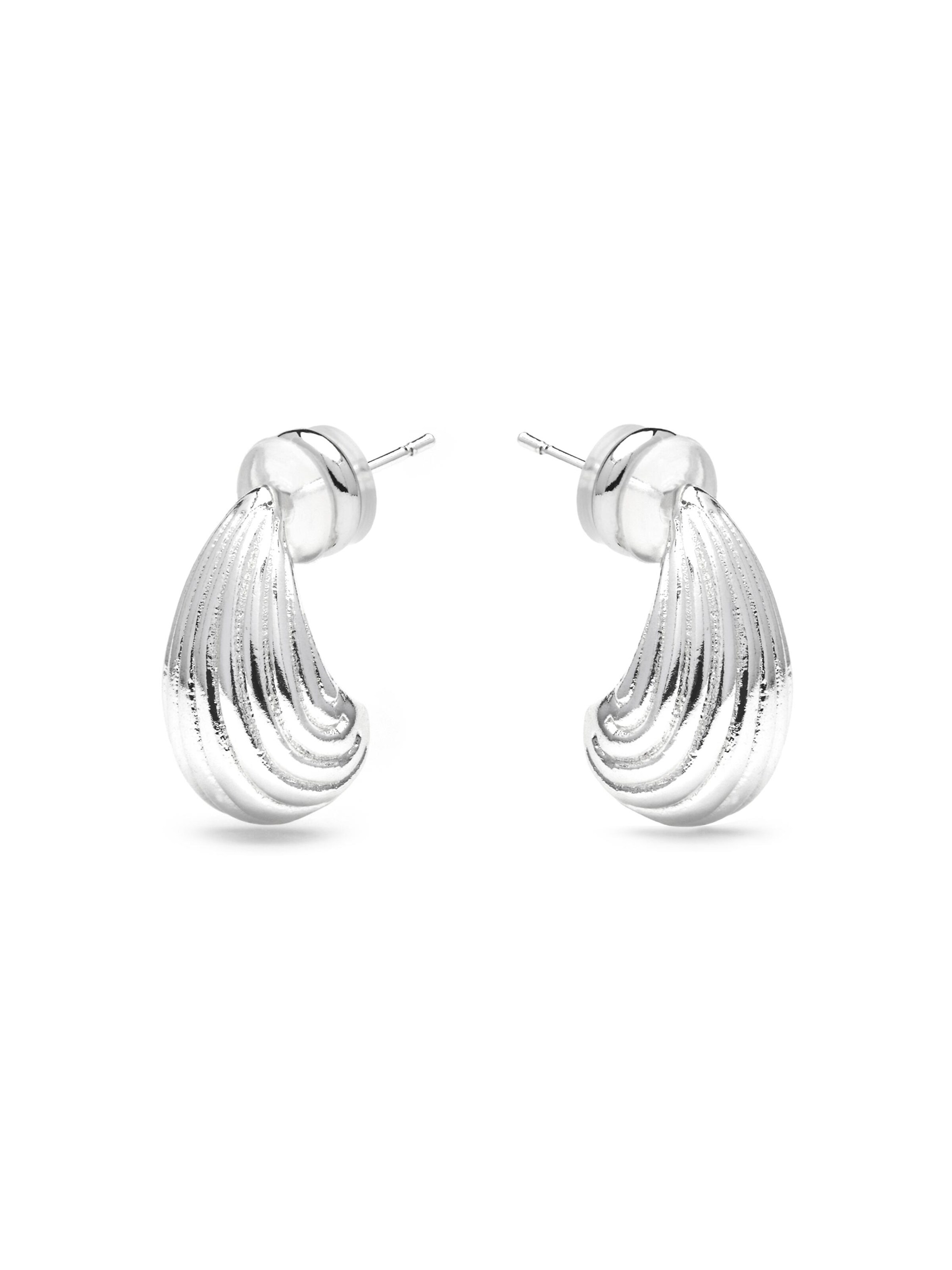 Luxenter Oorbellen 'Overin' in Zilver: voorkant