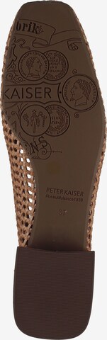 Chaussure basse PETER KAISER en marron