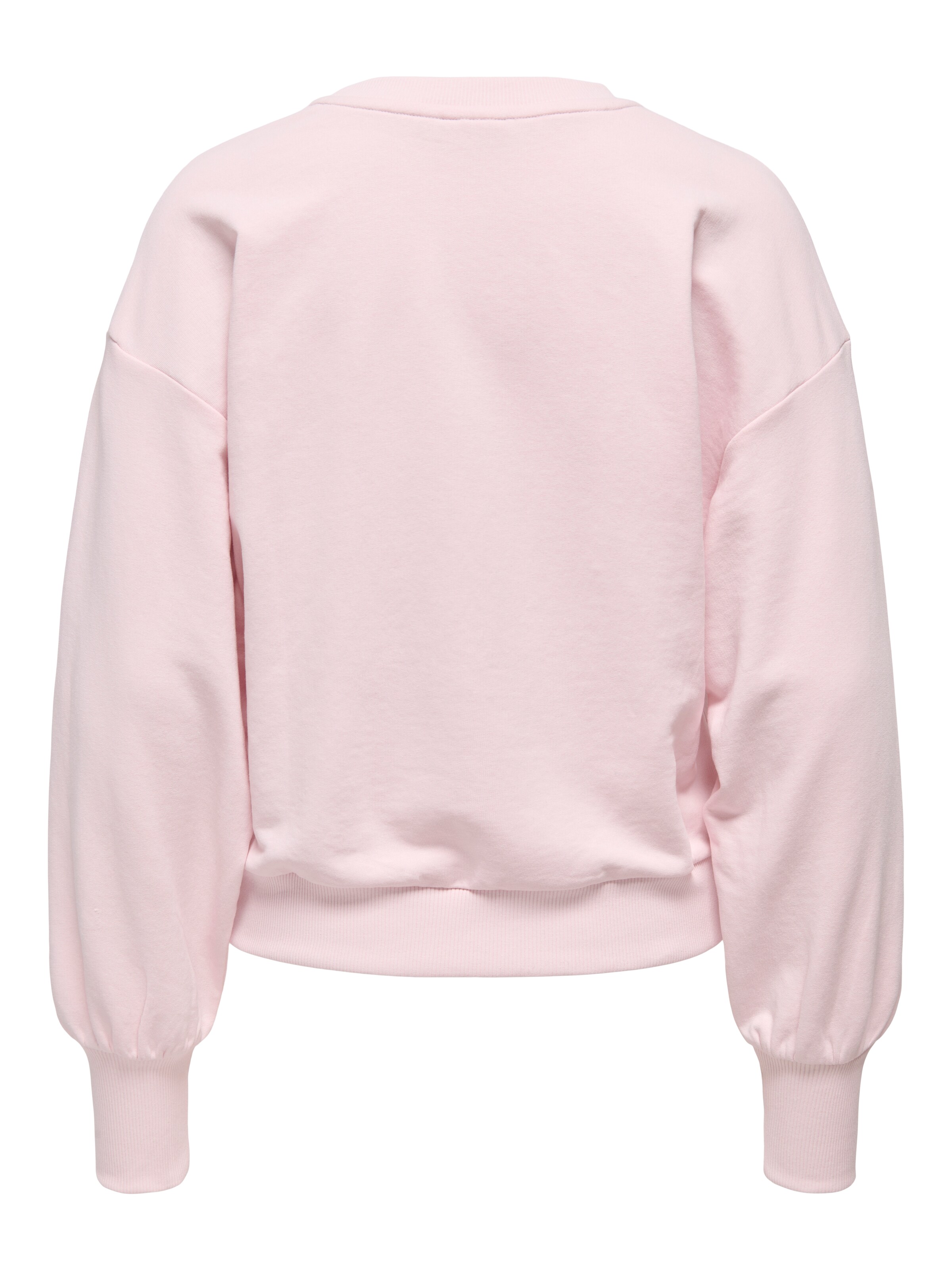 Sweatshirt 'Onlcamela Brooke'