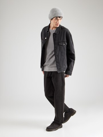 Iriedaily Pullover 'Seedy Summer' in Grau