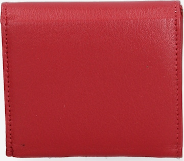 Sergio Valentini Wallet in Red: front