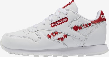 Reebok Sneakers in White: front