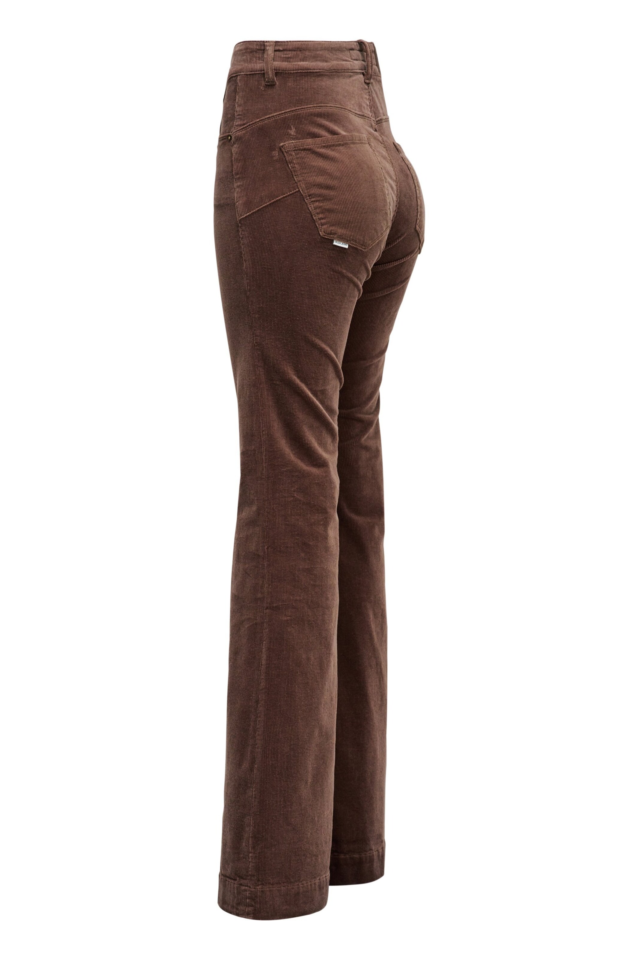 Salsa Jeans Flared Jeans 'Faith' in Bruin