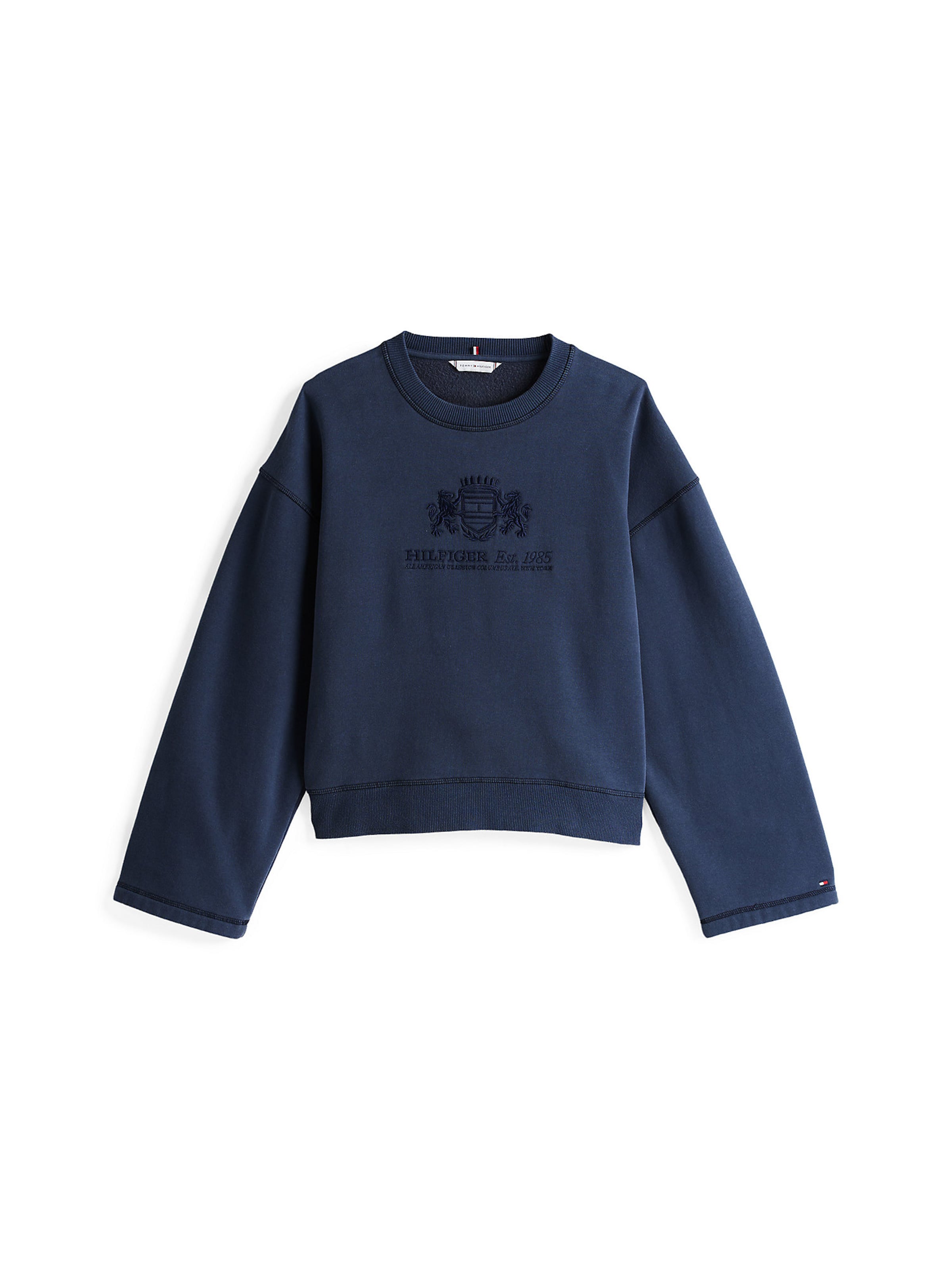Sweat-shirt TOMMY HILFIGER en bleu : devant