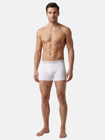 Tazzio Boksershorts 'BS1000' i blandingsfarvet