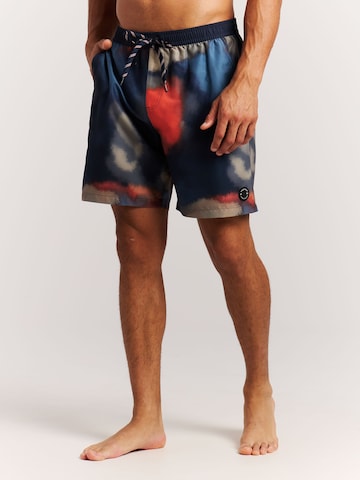 PROTEST Zwemshorts 'PRTFligth' in Blauw