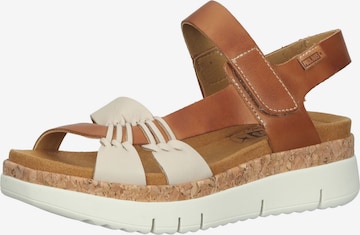 PIKOLINOS Strap Sandals in Brown: front
