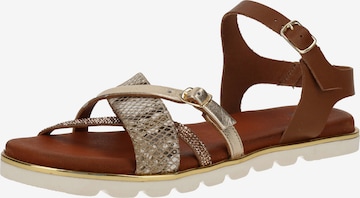 SPM Strap Sandals in Brown: front