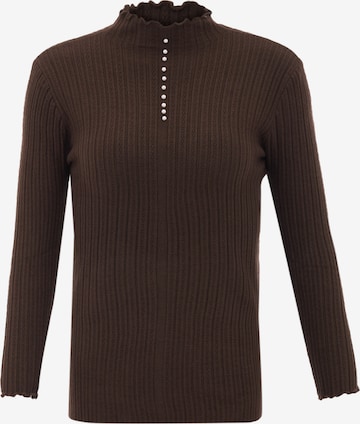 CARNEA Sweater in Brown: front