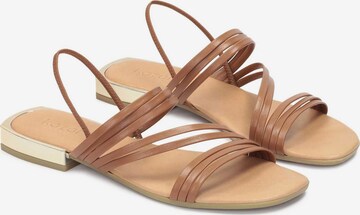 Kazar Strap Sandals in Brown