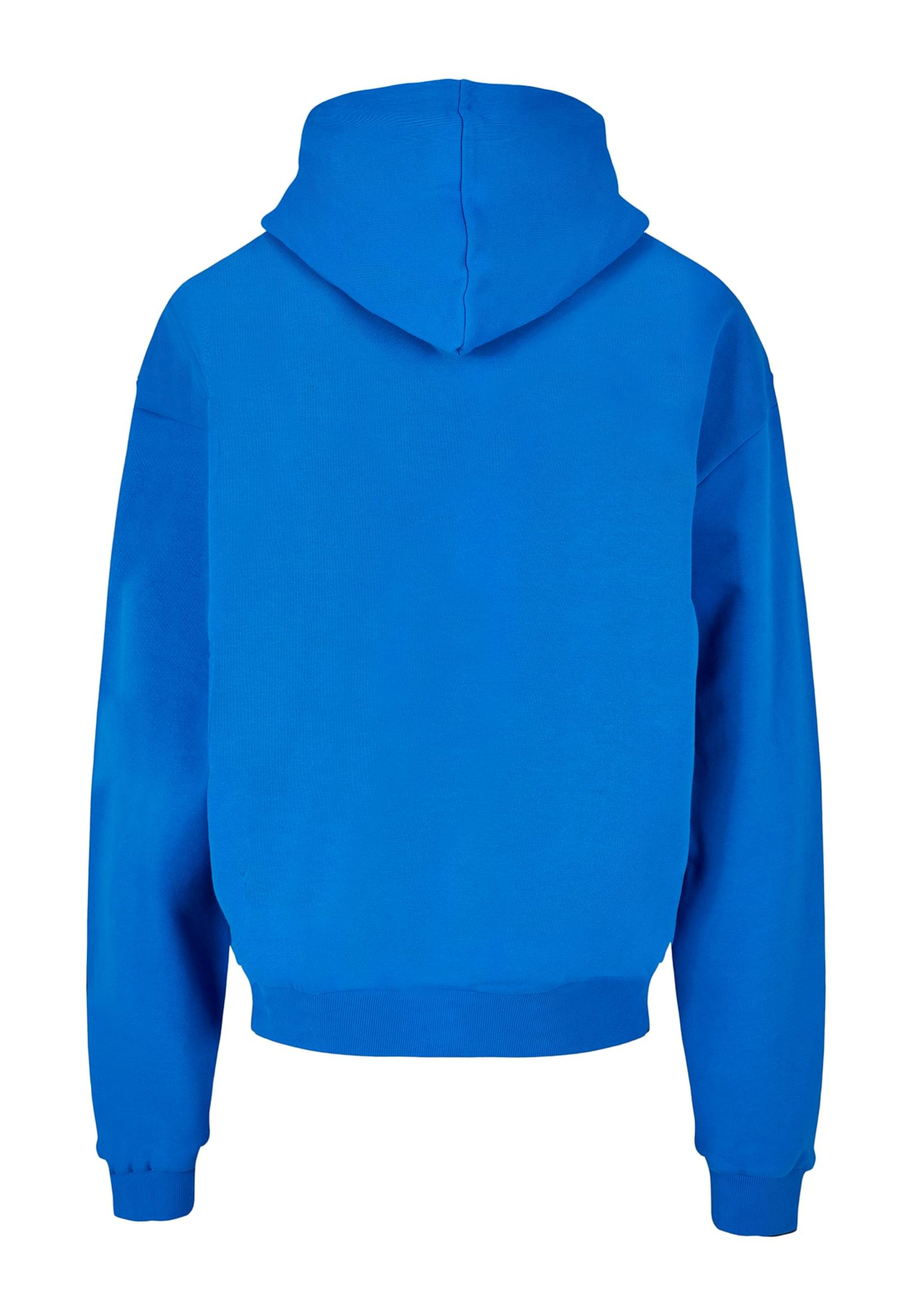 Lost Youth Sweatshirt in Blue
