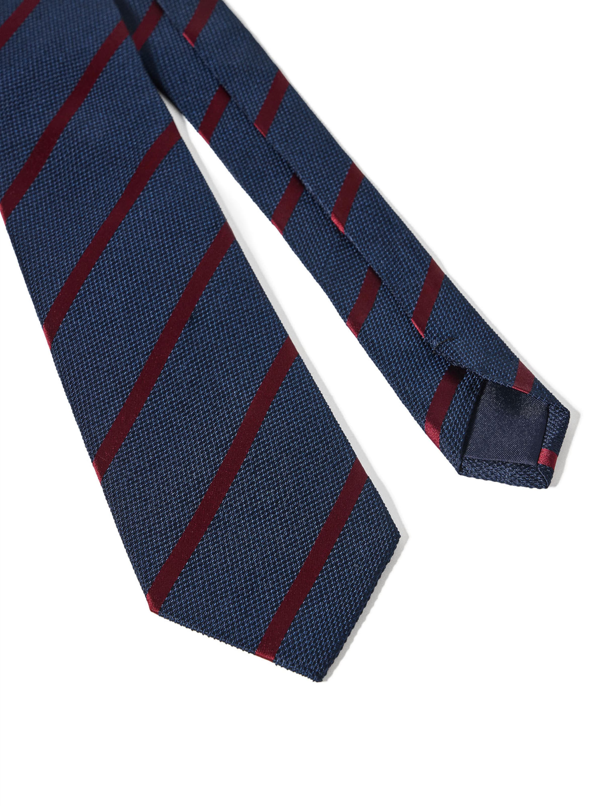Polo Club Tie in Blue