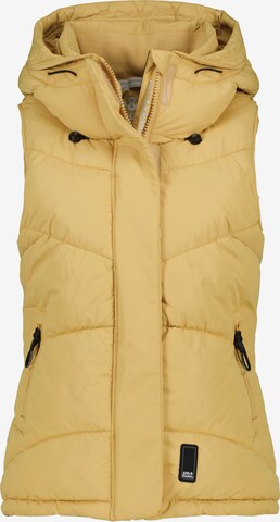 Alife and Kickin Vest 'JunisAK' i brun: forside