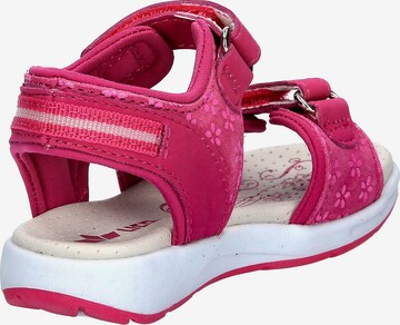 LICO Sandale in Pink