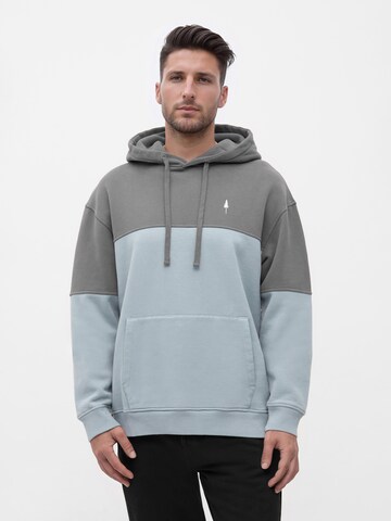 NIKIN Trui 'TreeHoodie Colorblock' in Grijs: voorkant