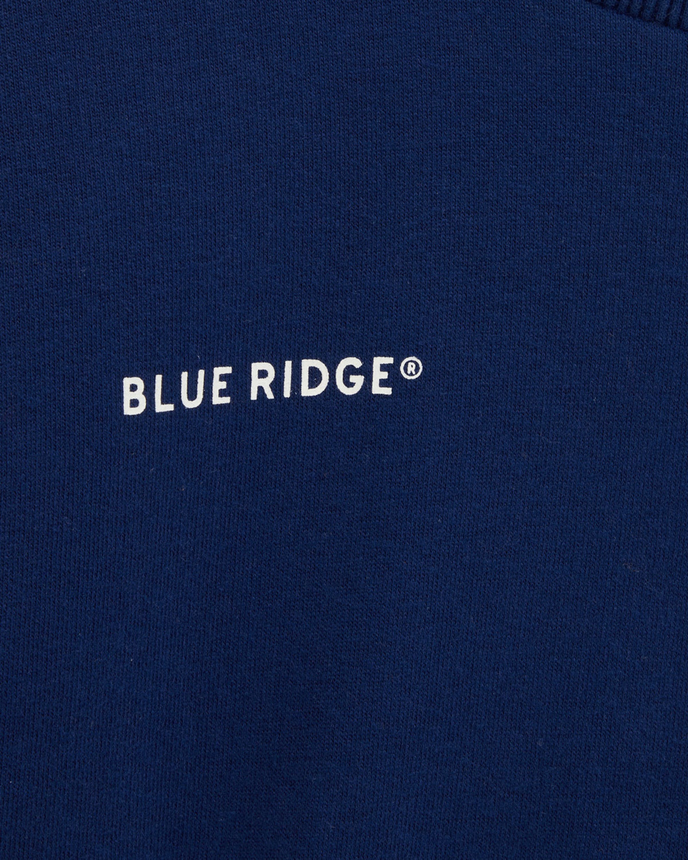 WE Fashion Sweatshirt in Blauw