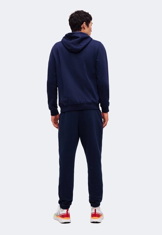 Tapered Pantaloni sport de la 4F pe albastru: spate