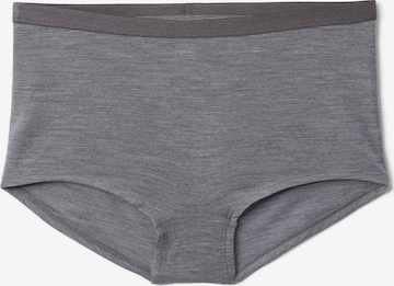 CALIDA Boyshorts in Grey: front