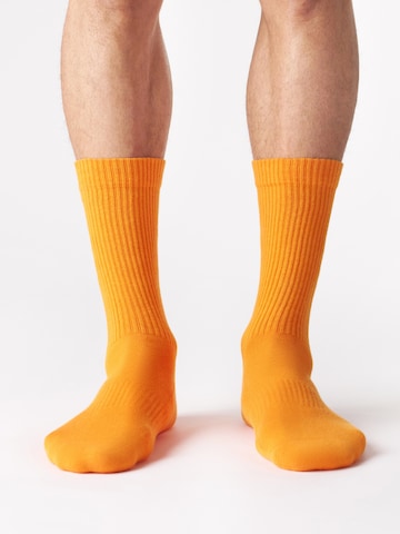 Von Jungfeld Socks 'CASUAL CLASSIC' in Orange: front