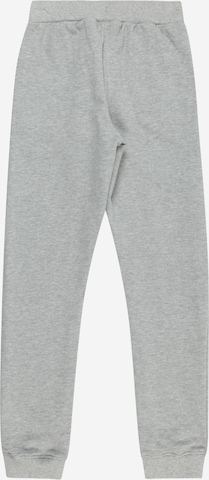 Tapered Pantaloni di The New in grigio