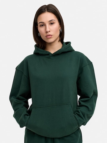 Daily Cotton Sweatshirt 'DCTERUEL' in Green: front