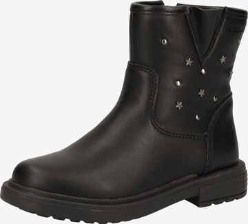 GEOX Stiefel in Schwarz: predná strana