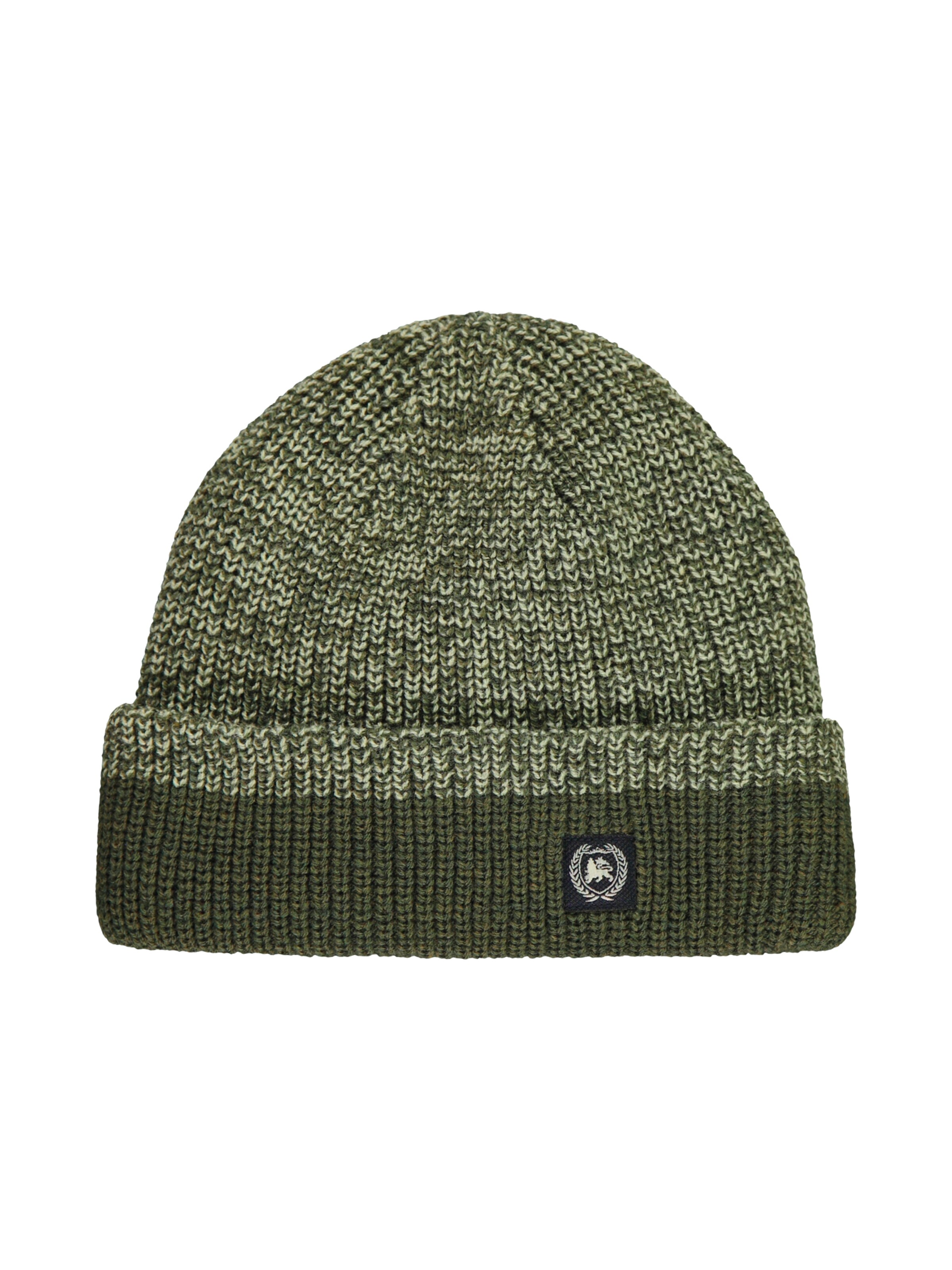 LERROS Beanie in Green: front