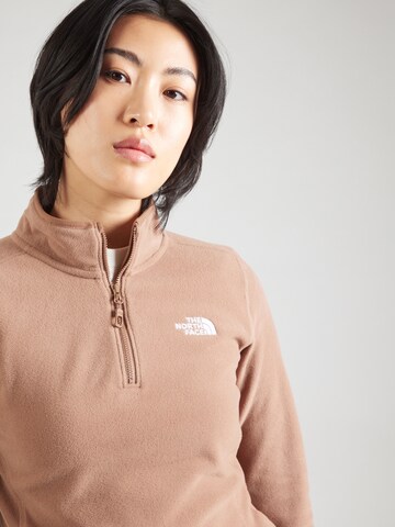 THE NORTH FACE Sports sweater '100 GLACIER' in Brown