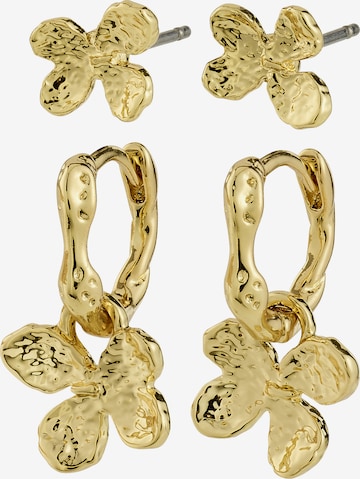 Pilgrim Ohrringe 'Ajani' in Gold: Vorderseite