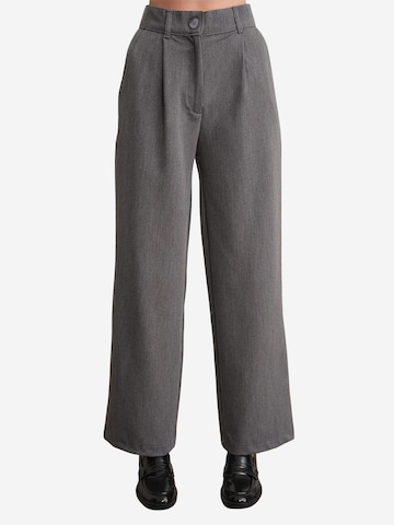 Pantaloni con pieghe di MixRay in grigio: frontale